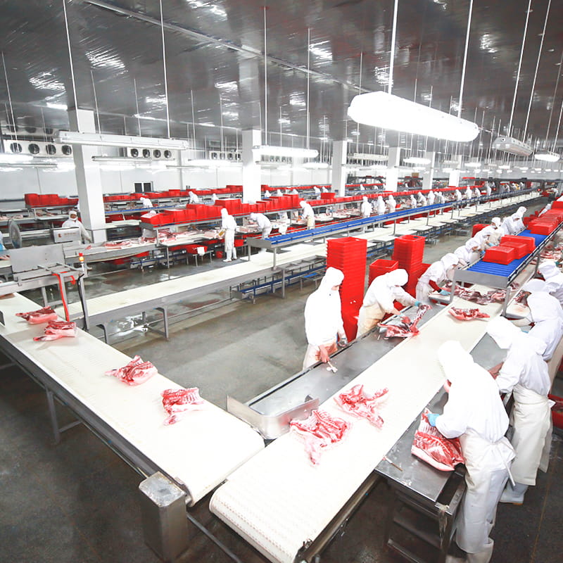 Penyelesaian pemotongan babi dan deboning